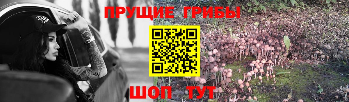 Псилоцибиновые грибы ЛСД  Вход с VPN  Заводоуковск  Галлюциногенные грибы мухоморы 